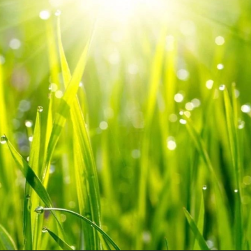 Kinas naturgasproduktion växer stadigt