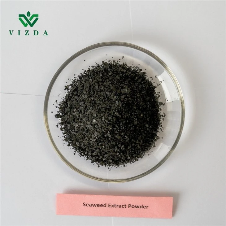 Seaweed Extract Black Flake Fertilizer
