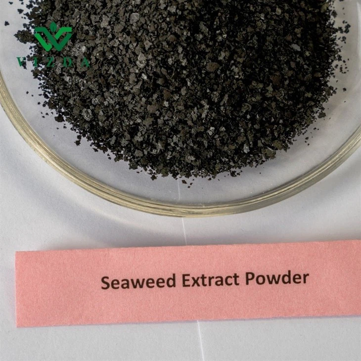 Seaweed Extract Fertilizer