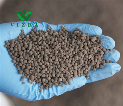 Paprika och aubergine Diammoniumfosfat med tidig rottillväxt